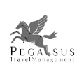 Pegasus.png